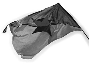 drapeau anarchiste