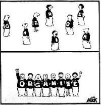 organise.jpg